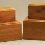 Bamboo Box: Extra Small
